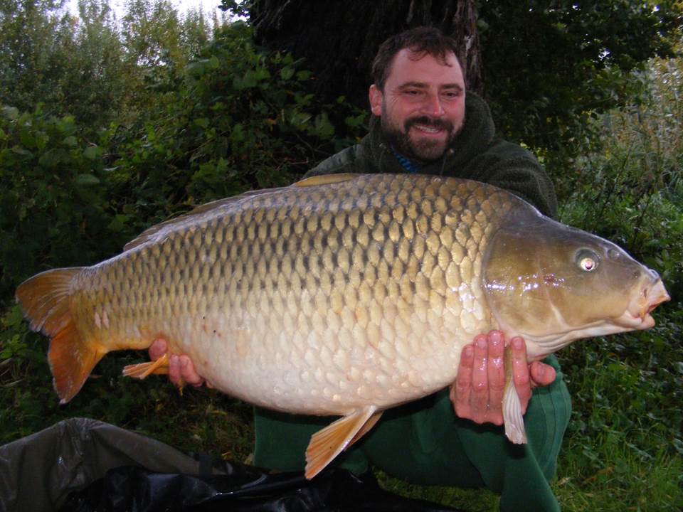 26