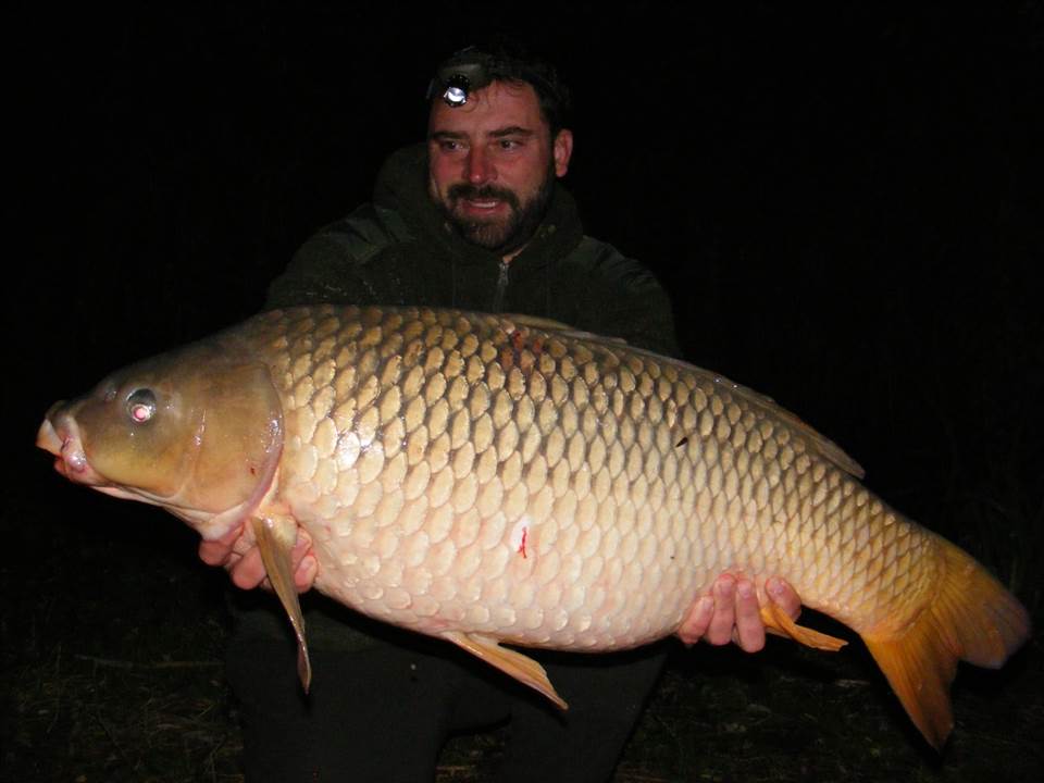 31
