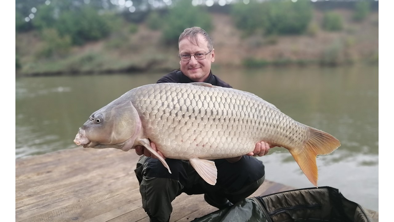 43