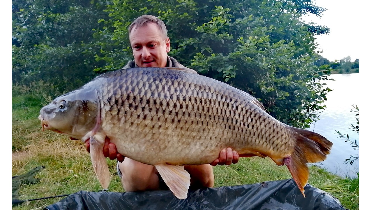 51